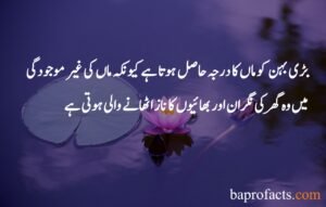 Brother Sister Quotes in Urdu