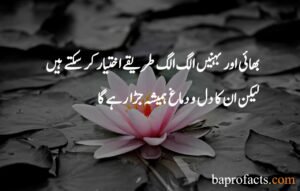 Brother Sister Quotes in Urdu