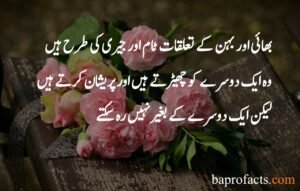 Brother Sister Quotes in Urdu