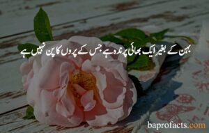 Brother Sister Quotes in Urdu