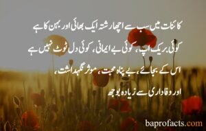 Brother Sister Quotes in Urdu