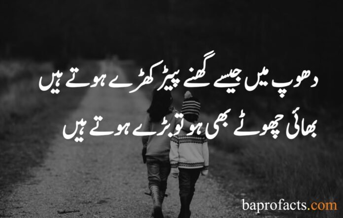 Brother Sister Quotes in Urdu