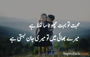 Brother Sister Quotes in Urdu