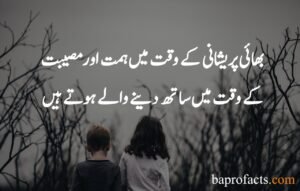 Brother Sister Quotes in Urdu