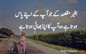 Brother Sister Quotes in Urdu