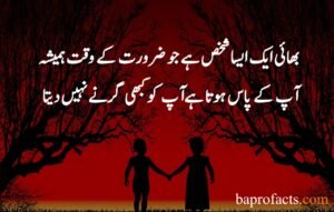 Brother Sister Quotes in Urdu