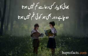 Brother Sister Quotes in Urdu