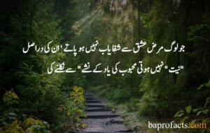 Love Quotes in Urdu 