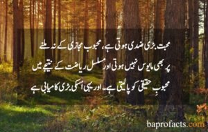 Love Quotes in Urdu 