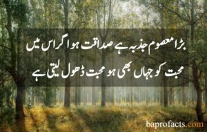 Love Quotes in Urdu 