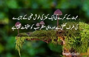 Love Quotes in Urdu 