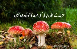 Love Quotes in Urdu 