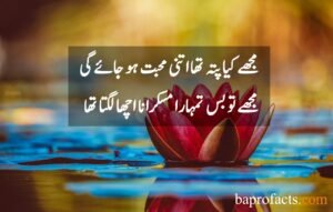 Love Quotes in Urdu 