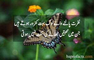 Love Quotes in Urdu 