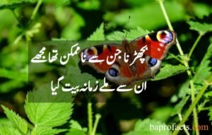 Love Quotes in Urdu 