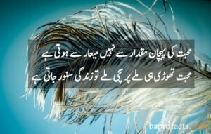 Love Quotes in Urdu 