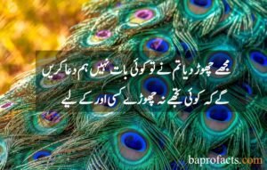 Love Quotes in Urdu 