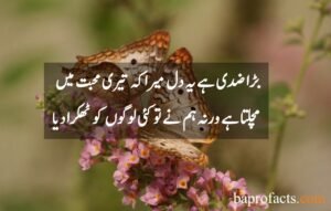 Love Quotes in Urdu 