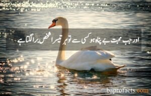 Love Quotes in Urdu 