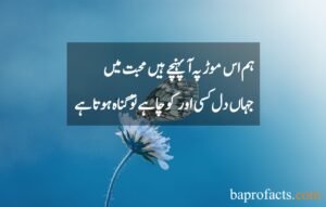 Love Quotes in Urdu 