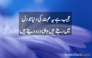 Love Quotes in Urdu 