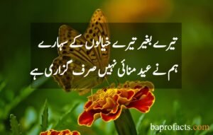 Eid Poetry in Urdu 