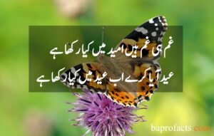 Eid Poetry in Urdu 