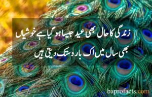 Eid Poetry in Urdu 