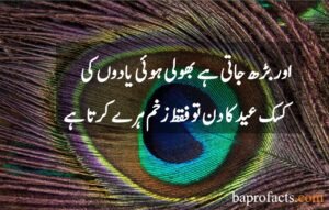 Eid Poetry in Urdu 