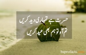 Eid Poetry in Urdu 