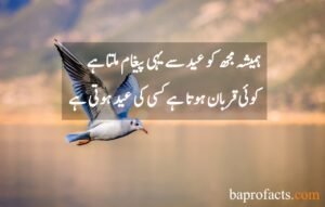 Eid Poetry in Urdu 