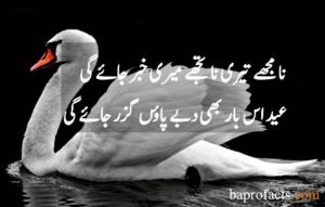 Eid Poetry in Urdu 