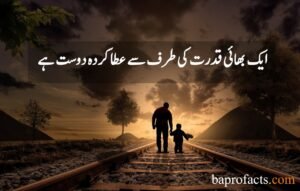 Brother Sister Quotes in Urdu