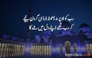 Islamic Quotes in Urdu