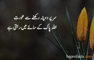 Islamic Quotes in Urdu