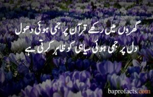 Islamic Quotes in Urdu