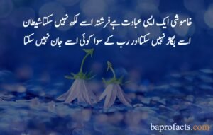 Islamic Quotes in Urdu