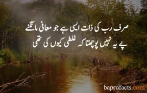 Islamic Quotes in Urdu