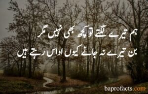 Sad Poetry in Urdu 