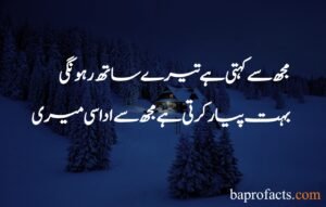 Sad Poetry in Urdu 