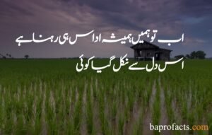 Sad Poetry in Urdu 