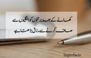 Islamic Information in Urdu