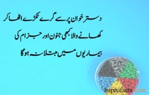 Islamic Information in Urdu