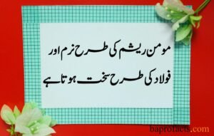 Allama Iqbal Quotes in Urdu