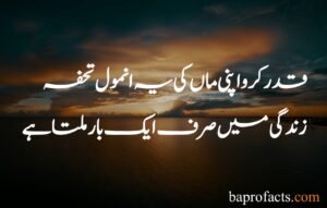 Mother Quotes in Urdu