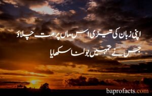 Mother Quotes in Urdu