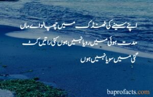 Famous 25+ Mother Quotes in Urdu