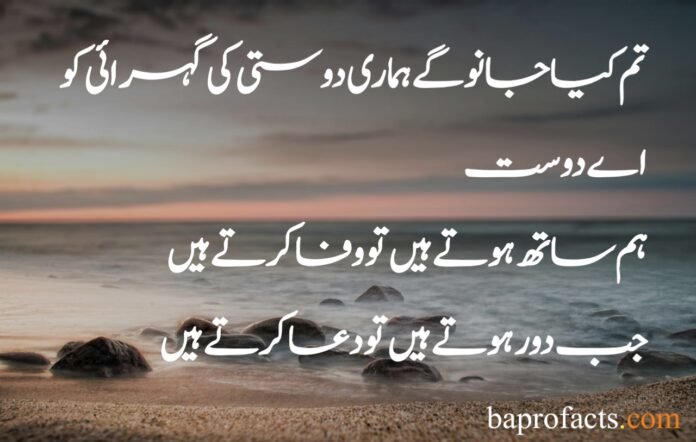 Friendship Quotes in Urdu