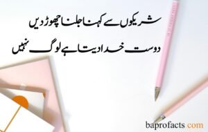 Friendship Quotes in Urdu