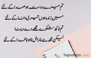 Friendship Quotes in Urdu